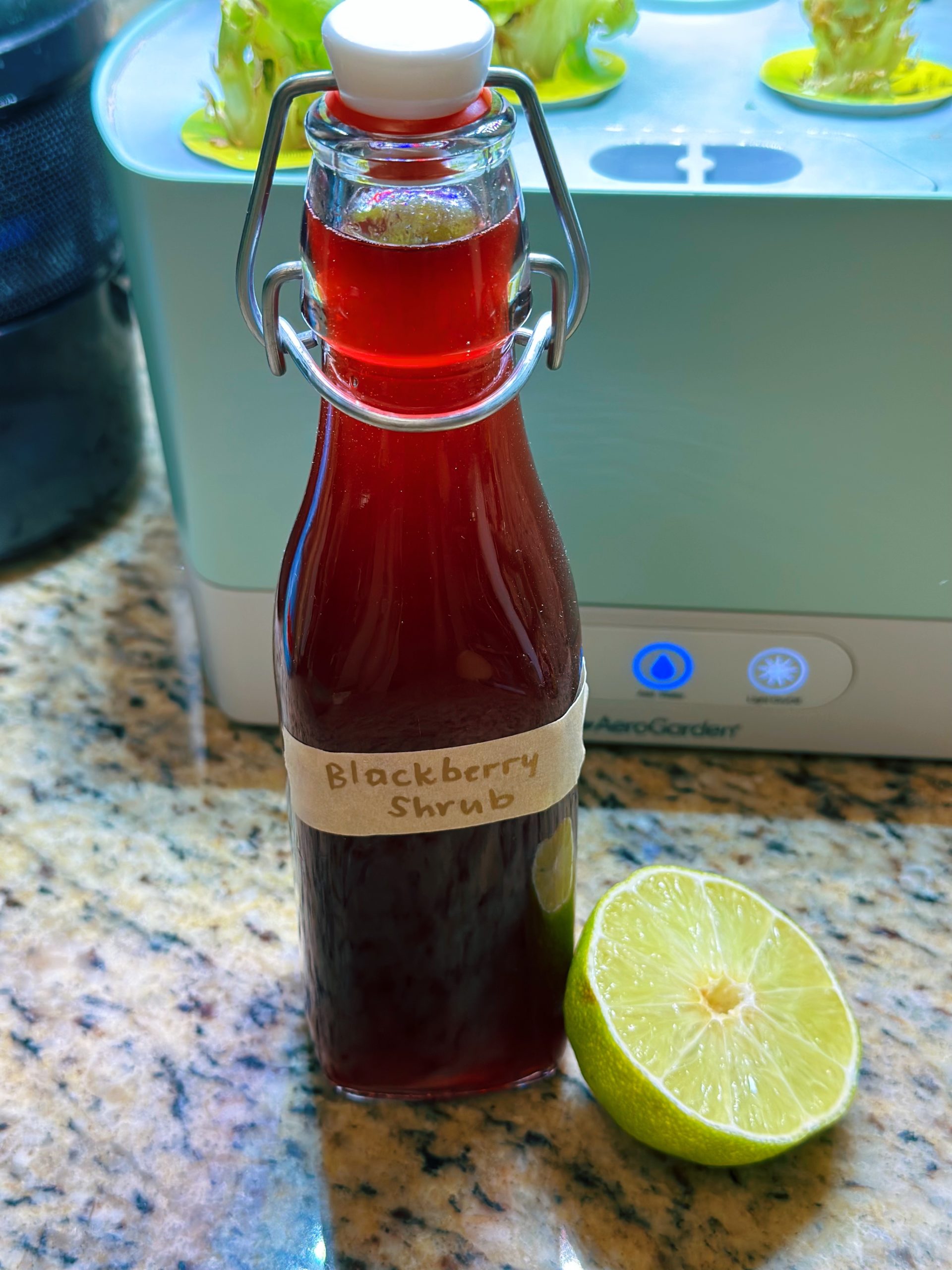 Bottle of blackberry shrub, also known as drinking vinegar.