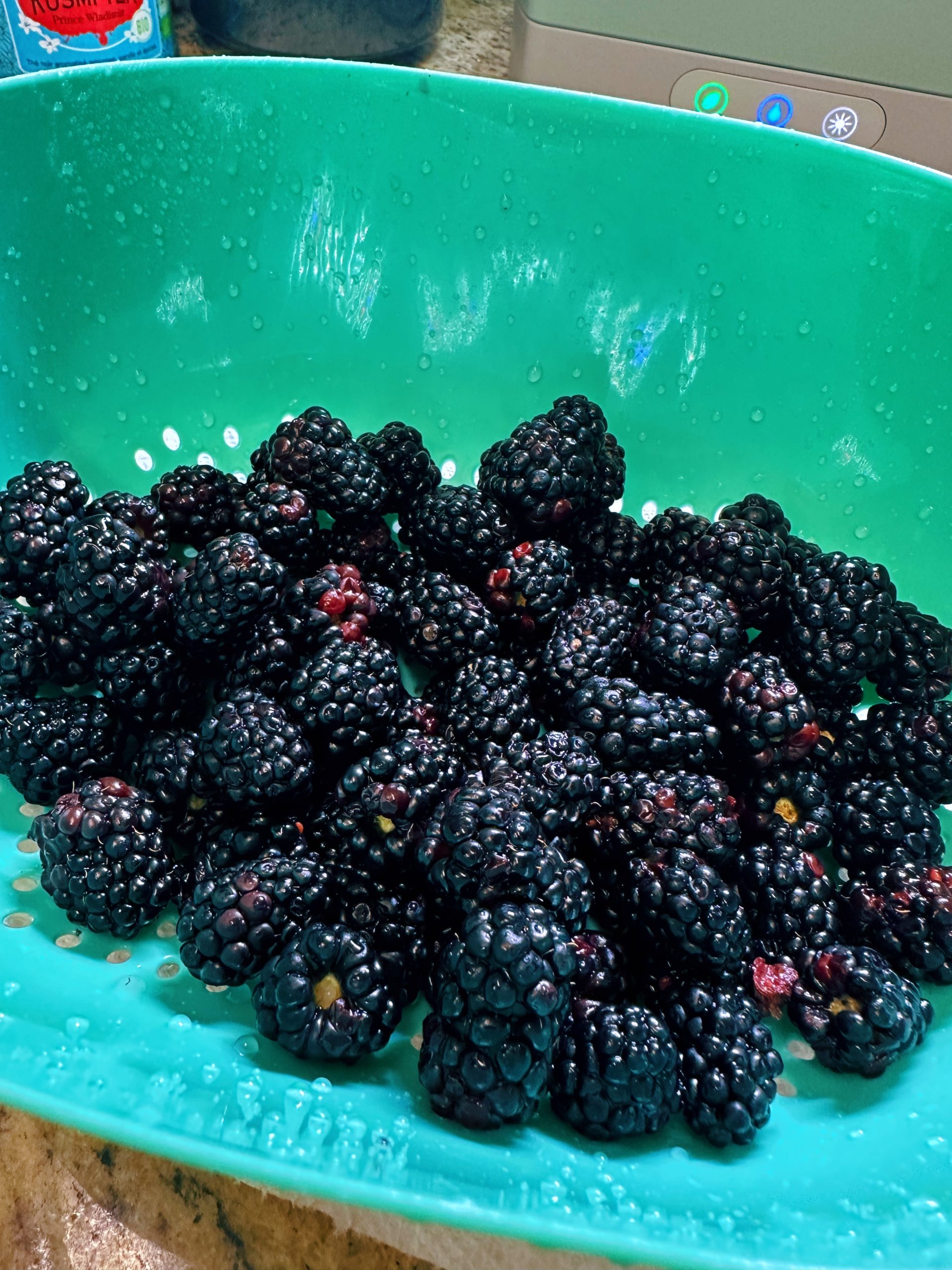 Freshly washed blackberries in a blue strainer